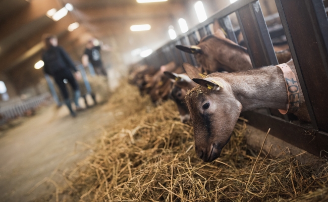 Pure logistique : gestion des
déchets infectieux dasri*