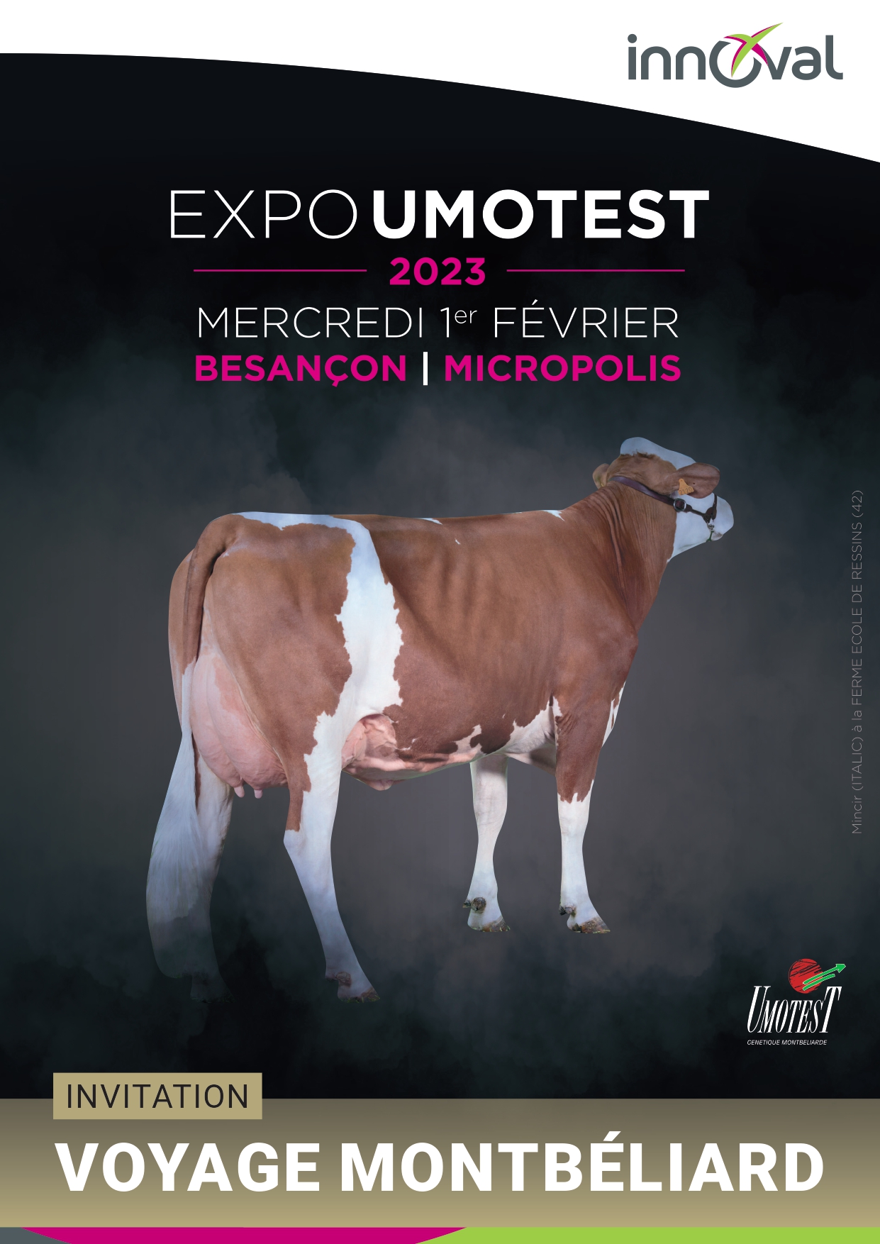 EXPO UMOTEST 2023