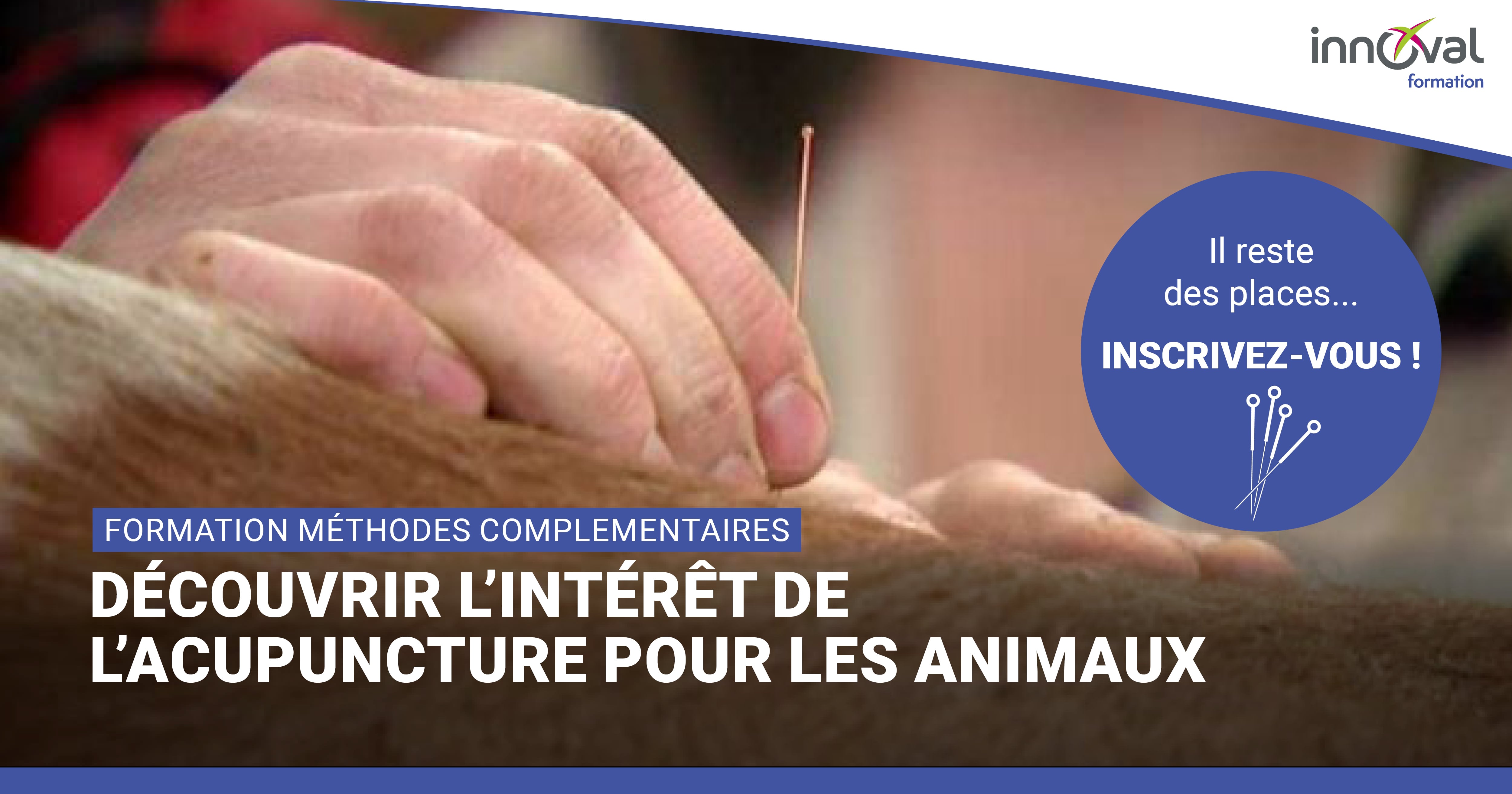 Nouveauté formation INNOVAL "Découvrir l'intérêt  de l'acupuncture pour les animaux"