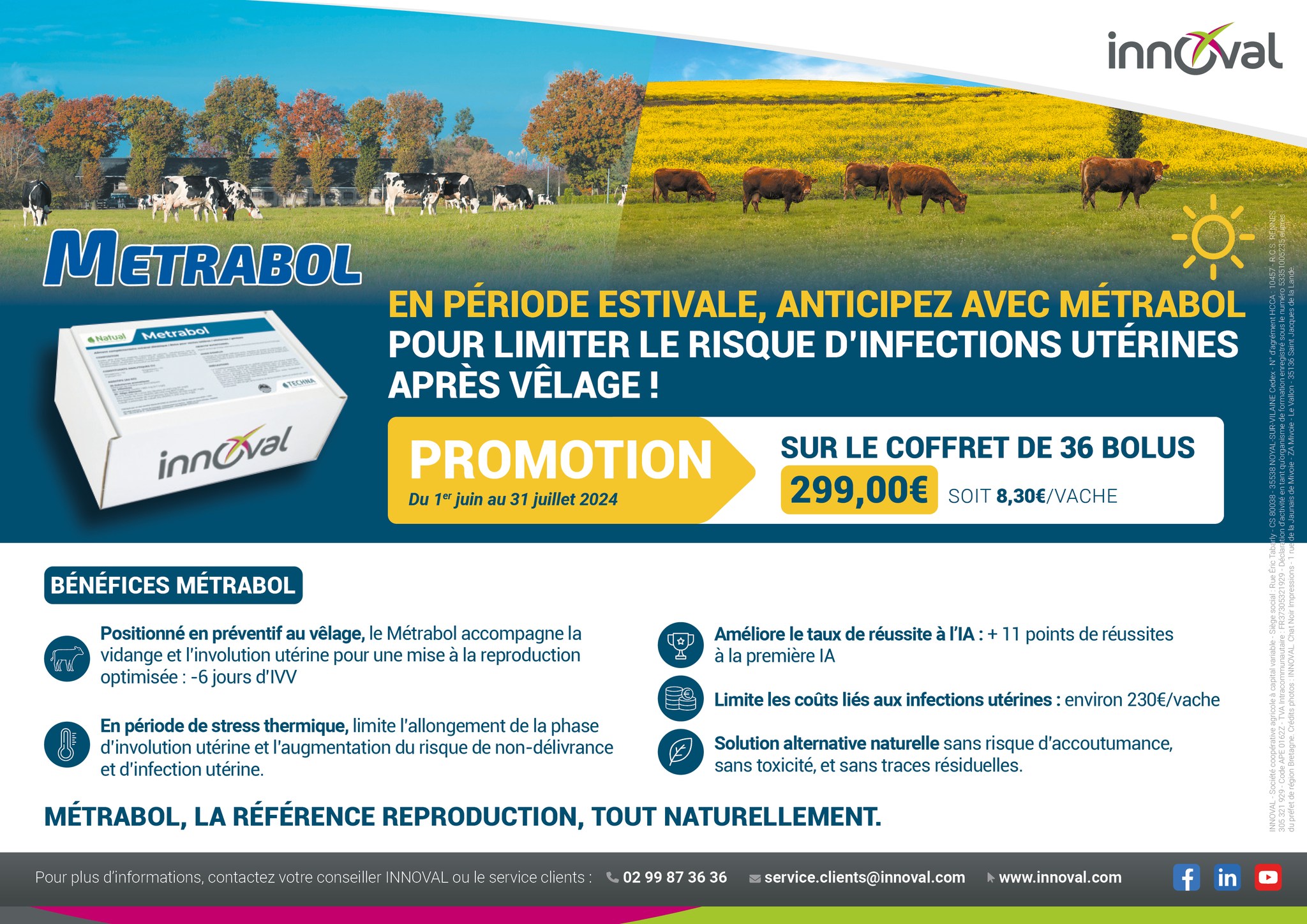 Offre estivale METRABOL : anticipez et protégez vos vaches contre les infections utérines post-vêlage