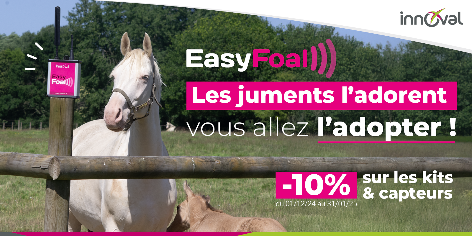 Offre EasyFoal : préparez la saison des poulinages