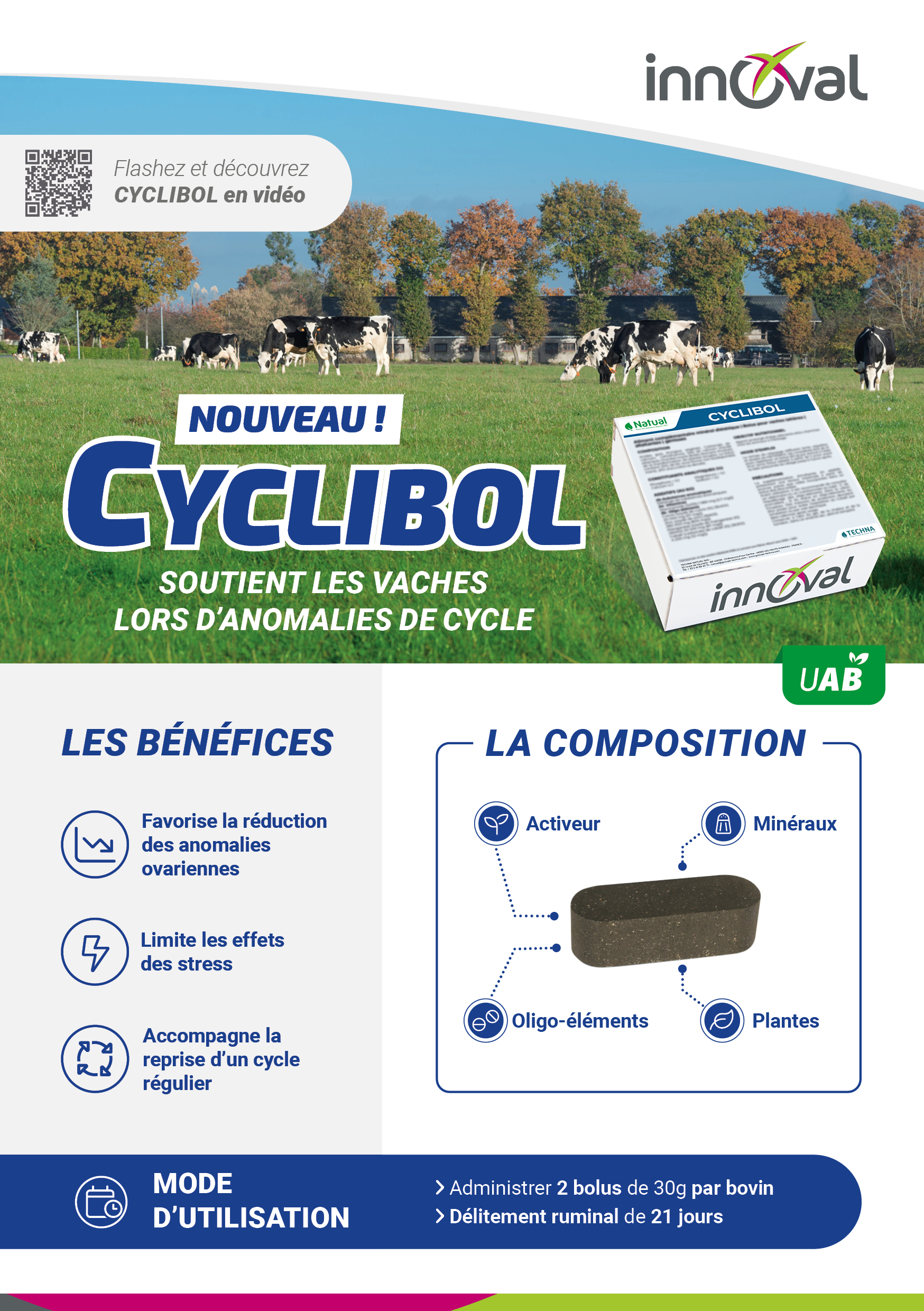 Cyclibol : soutenez vos vaches pour des cycles réguliers 1