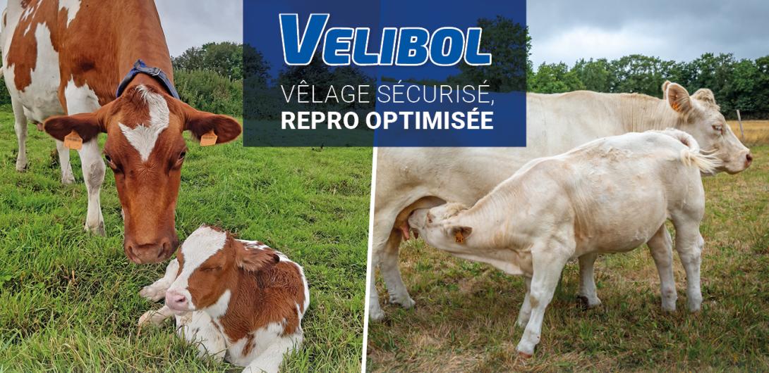 VELIBOL : profitez de l'offre promotionnelle du moment !