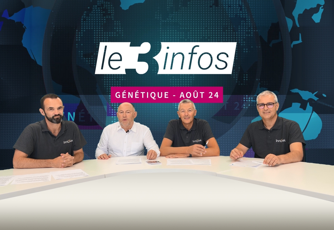 Le 3 Infos indexation août 2024